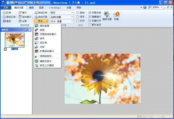 HyperSnap中文绿色版下载 第2张图片