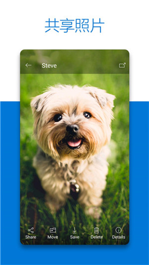 微软云盘OneDrive手机版 第1张图片