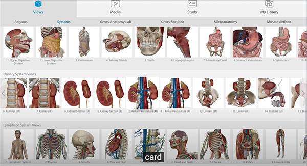 2023人体解剖学图谱教程2