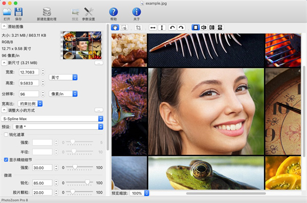 PhotoZoom pro8 for Mac最新版 第3张图片