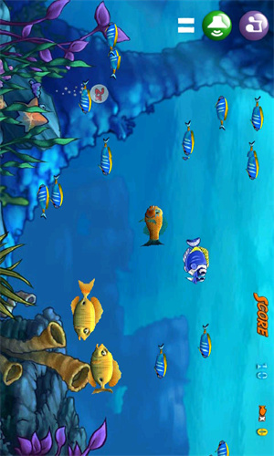 大鱼吃小鱼游戏手机版 第1张图片
