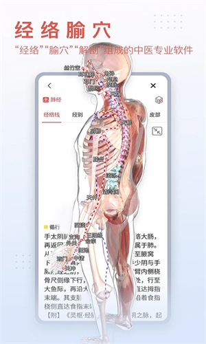 3DBody解剖軟件6.0安卓版軟件介紹截圖