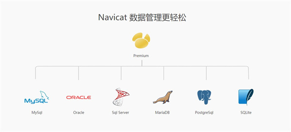 Navicat for MySQL 64位簡體中文官方版軟件介紹截圖