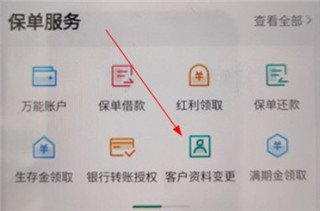 中國人壽壽險app手機版怎么變更身份信息截圖2