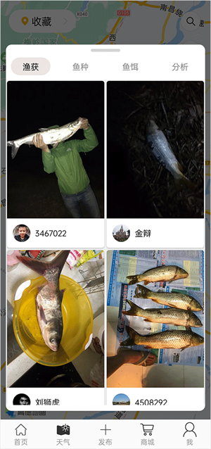 渔获app软件使用教程4