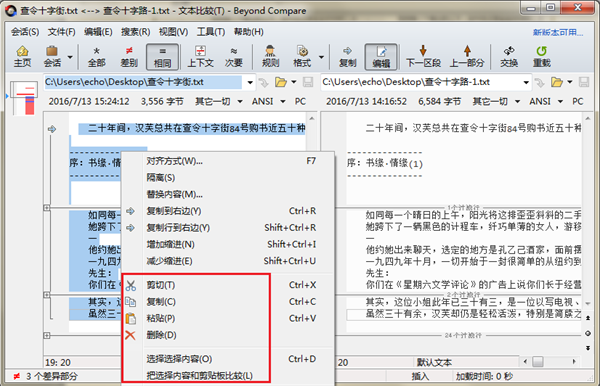 Beyond Compare比较文本对相同内容的处理截图3