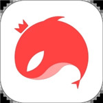 猎游陪玩app v5.1.9 安卓版