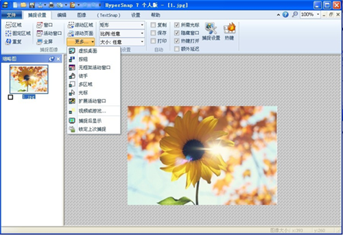 HyperSnap8中文破解版軟件特色