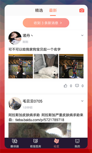 猫语翻译器中文版手机版 第2张图片