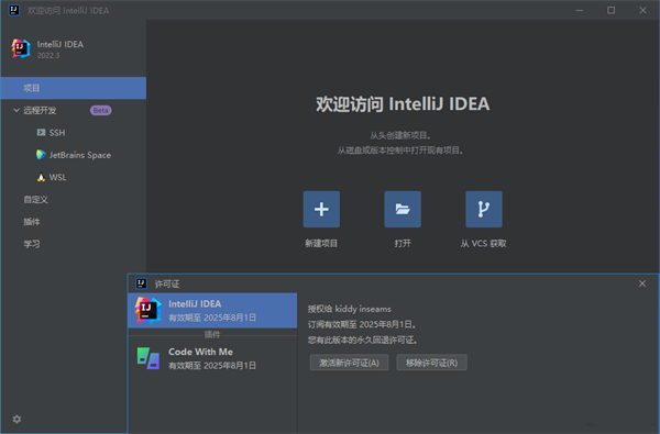 IntelliJ IDEA 2023.1.3破解版 第2张图片