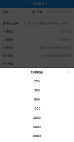 河北税务app城乡居民社保缴费流程6