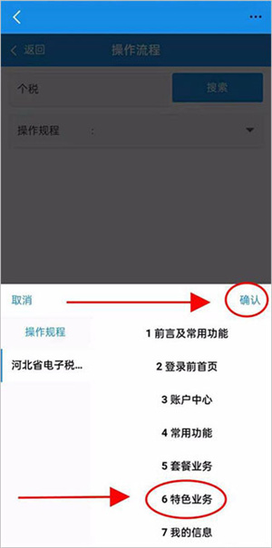 河北稅務app最新版查看辦理業務的操作流程4