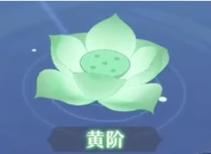 長安幻想靈階是什么？1