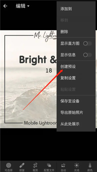 Lightroom官方正版app格式預設保存教程截圖6