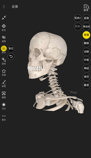 3Dbody解剖手機最新版怎么使用？4