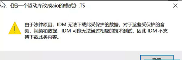 IDM下载器汉化最新版新手技巧截图5