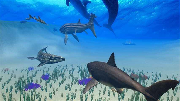 巨齿鲨模拟器无限金币版 第4张图片