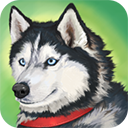 美国ZOOM动物官方免费版 v1.0.3.3 安卓版