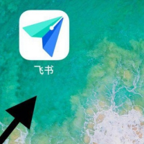 飛書app如何設置靜音？1