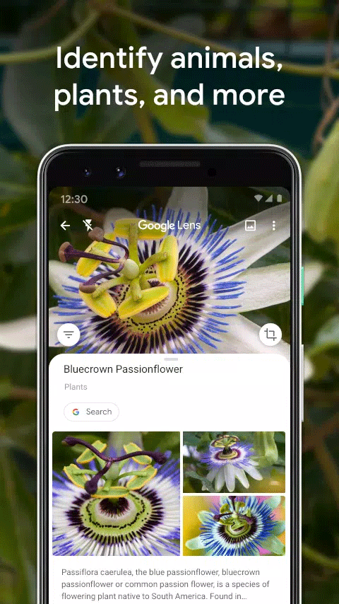 谷歌智能镜头app官方最新版 第3张图片