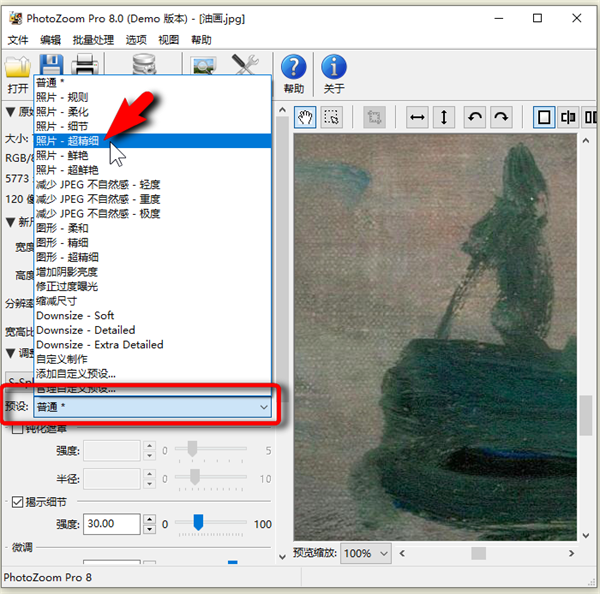 PhotoZoom Classic中文版如何让优化打印效果更精细