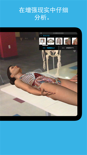 人体解剖学图谱2023破解版 第5张图片