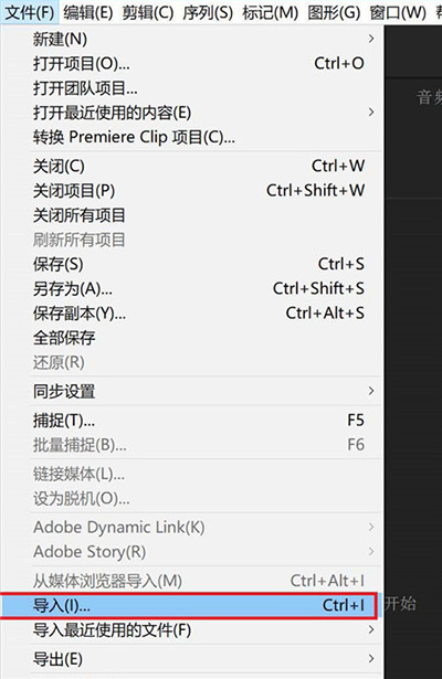 Adobe Premiere Pro 2024使用方法3