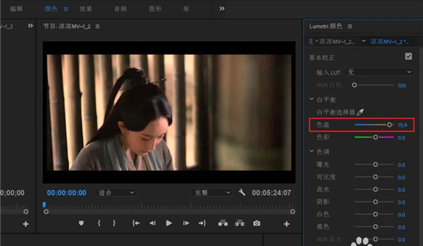 Adobe Premiere Pro 2024使用方法7