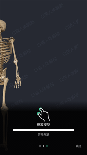 解剖大師免費版怎么操控模型截圖3