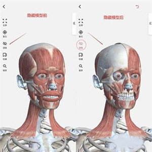 3DBody解剖APP破解解鎖VIP版下載截圖6