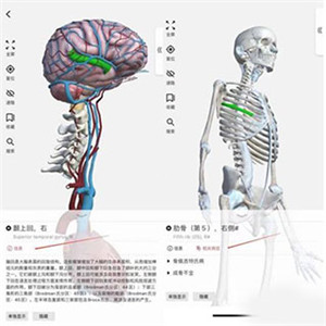 3DBody解剖APP破解解锁VIP版下载截图5