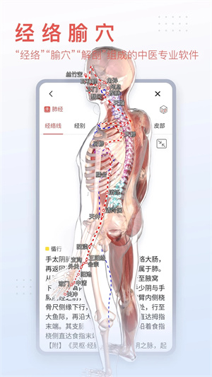 3DBody解剖APP下载最新版 第1张图片
