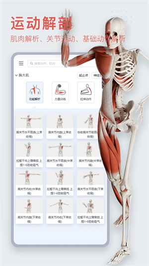 3DBody解剖APP下载最新版 第4张图片
