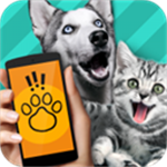 宠物对话翻译器免费版下载 v1.1 安卓版