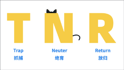 TNR是什么？1