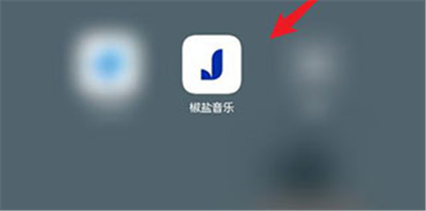 椒盐音乐app官方版下载截图14