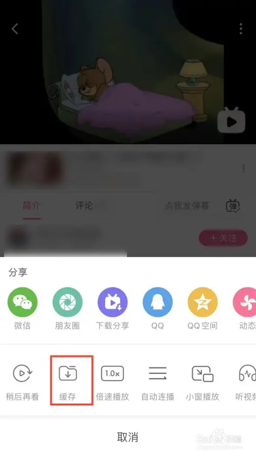 嗶哩嗶哩怎么緩存視頻截圖2