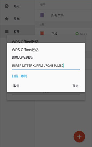 WPS Office Pro黑金激活码2