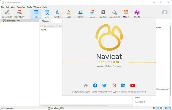 Navicat16汉化版下载 第1张图片