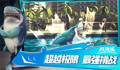 饥饿鲨世界全鲨鱼满级版 第3张图片