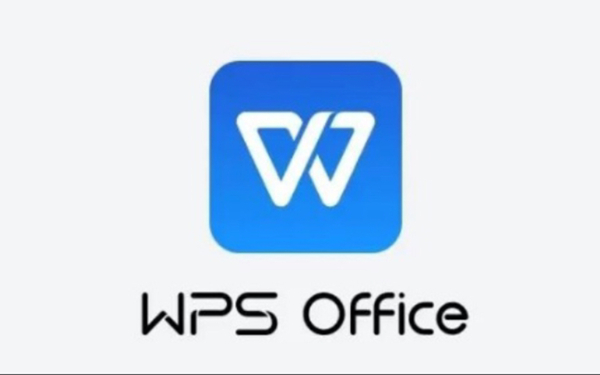 WPS Office2024专业增强版软件介绍