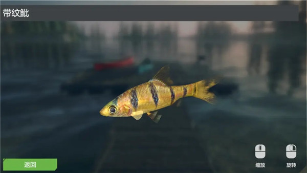 終極釣魚模擬器卡里巴大壩DLC實用攻略1