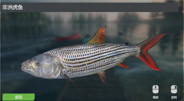 終極釣魚模擬器卡里巴大壩DLC實用攻略3