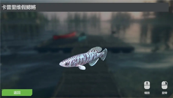 終極釣魚模擬器卡里巴大壩DLC實用攻略4