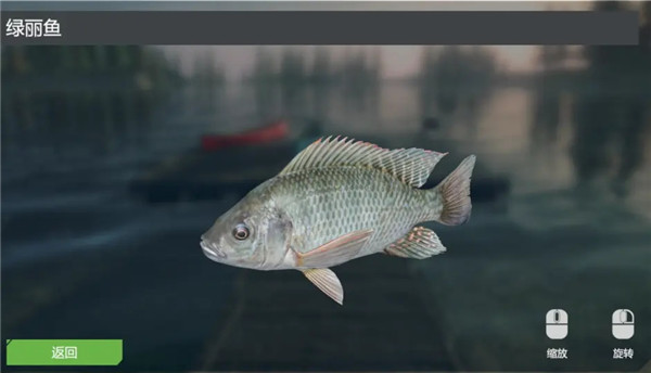 終極釣魚模擬器卡里巴大壩DLC實用攻略6
