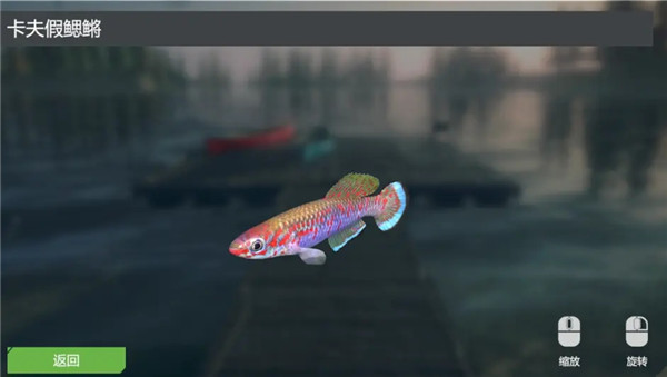 終極釣魚模擬器卡里巴大壩DLC實用攻略7