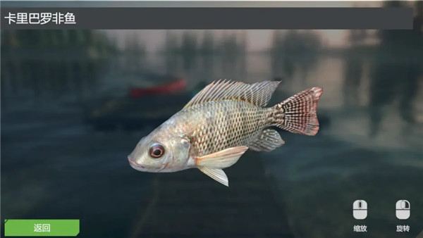 終極釣魚模擬器卡里巴大壩DLC實用攻略8