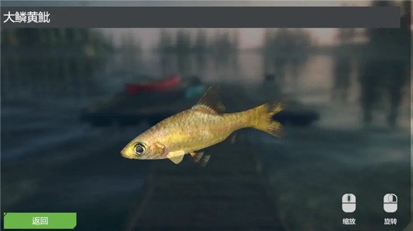 終極釣魚模擬器卡里巴大壩DLC實用攻略9