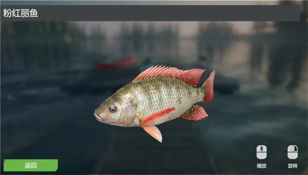 終極釣魚模擬器卡里巴大壩DLC實用攻略10
