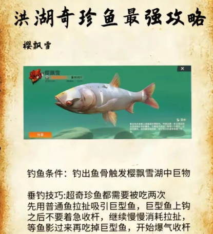 欢乐钓鱼大师洪湖最后三条鱼2